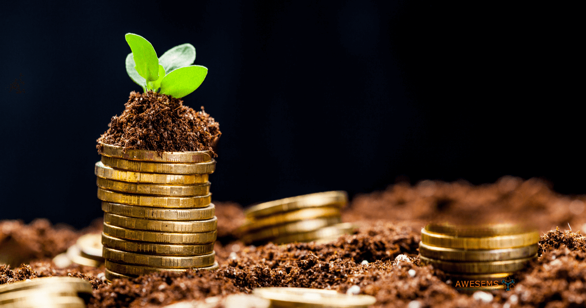 Stapeltje met geld waaruit een groen plantje groeit.