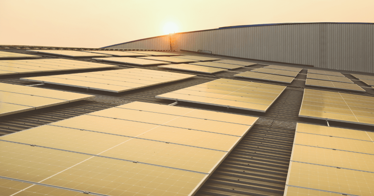 Zonnepanelen verspreidt over het dak van een bedrijf. De zon schijnt fel.